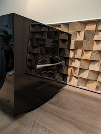 REL Carbon Special Subwoofer (Black)