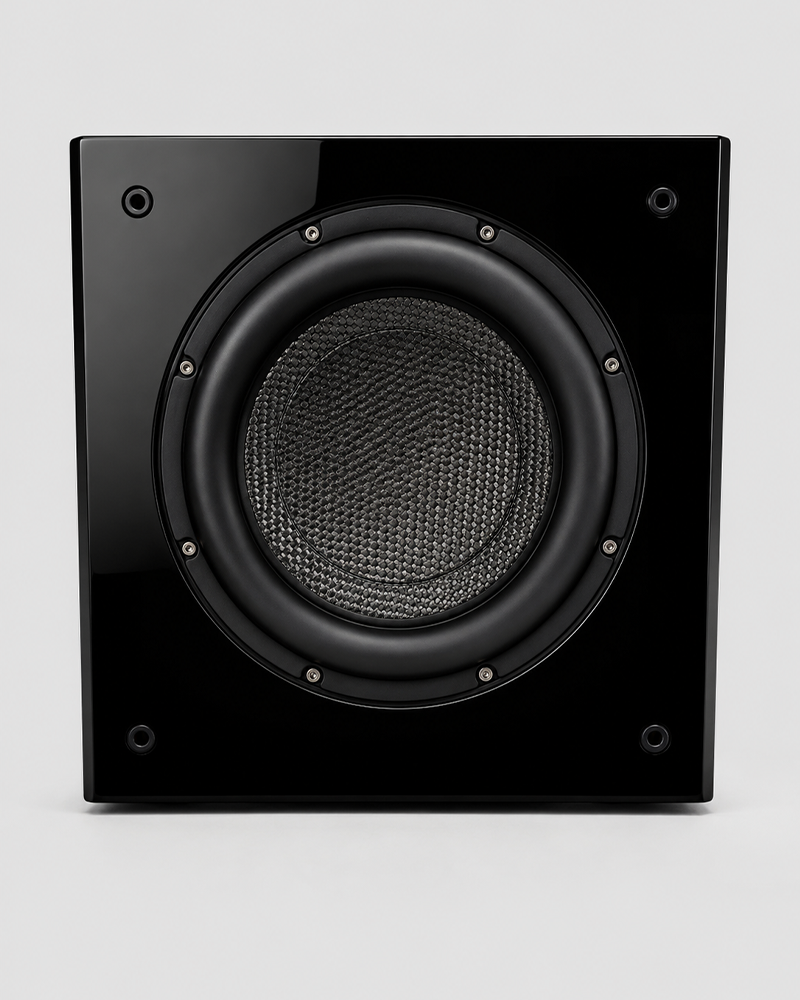 REL Carbon Special Subwoofer (Black)