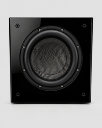 REL Carbon Special Subwoofer (Black)